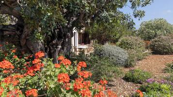 Gregal studio with terrace and garden view | Terrace/patio