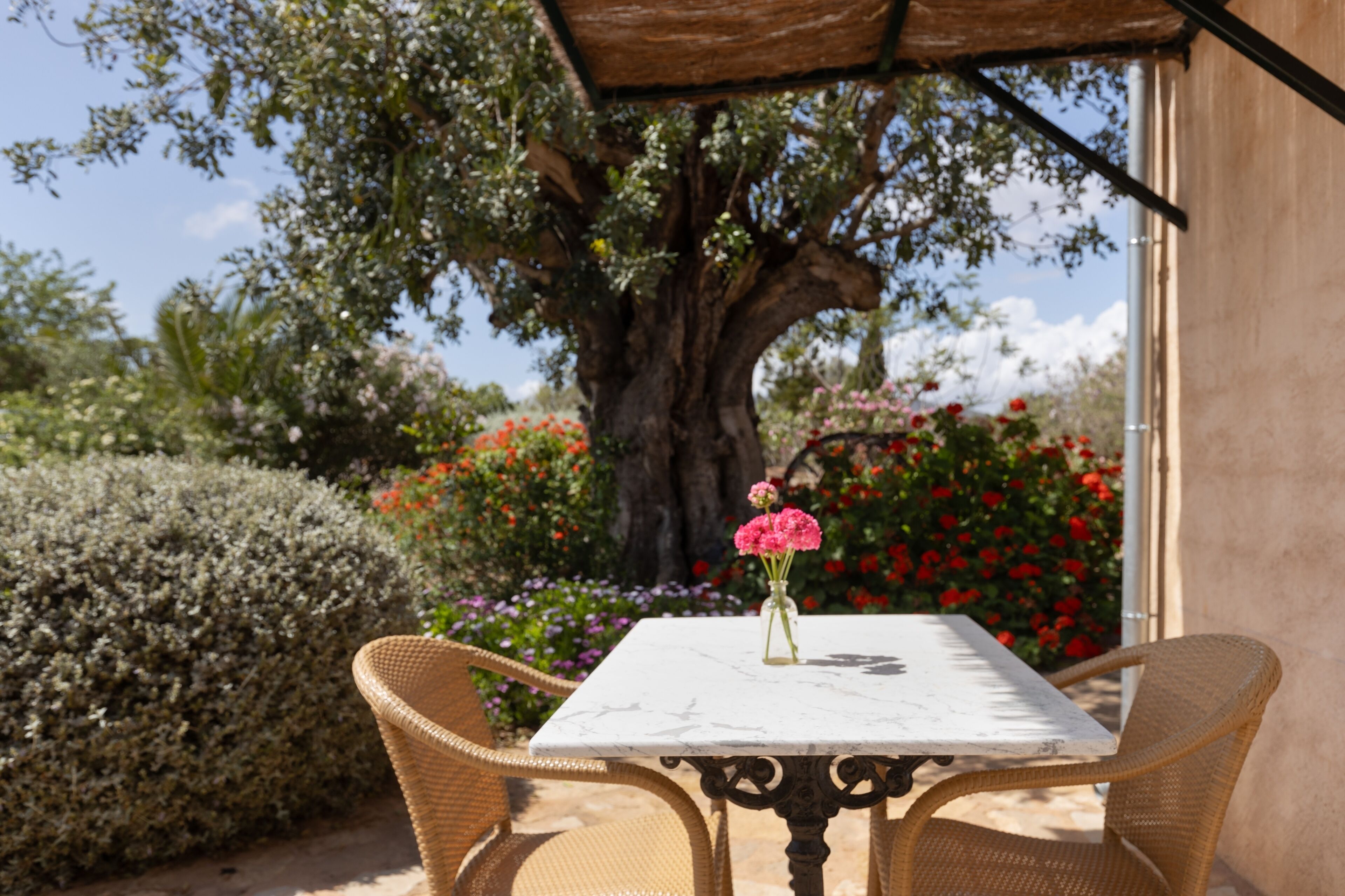 Una mesa con un florero, sillas de mimbre y vistas a un jardín con un árbol y diversas plantas.