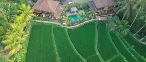 Pemandangan dari udara