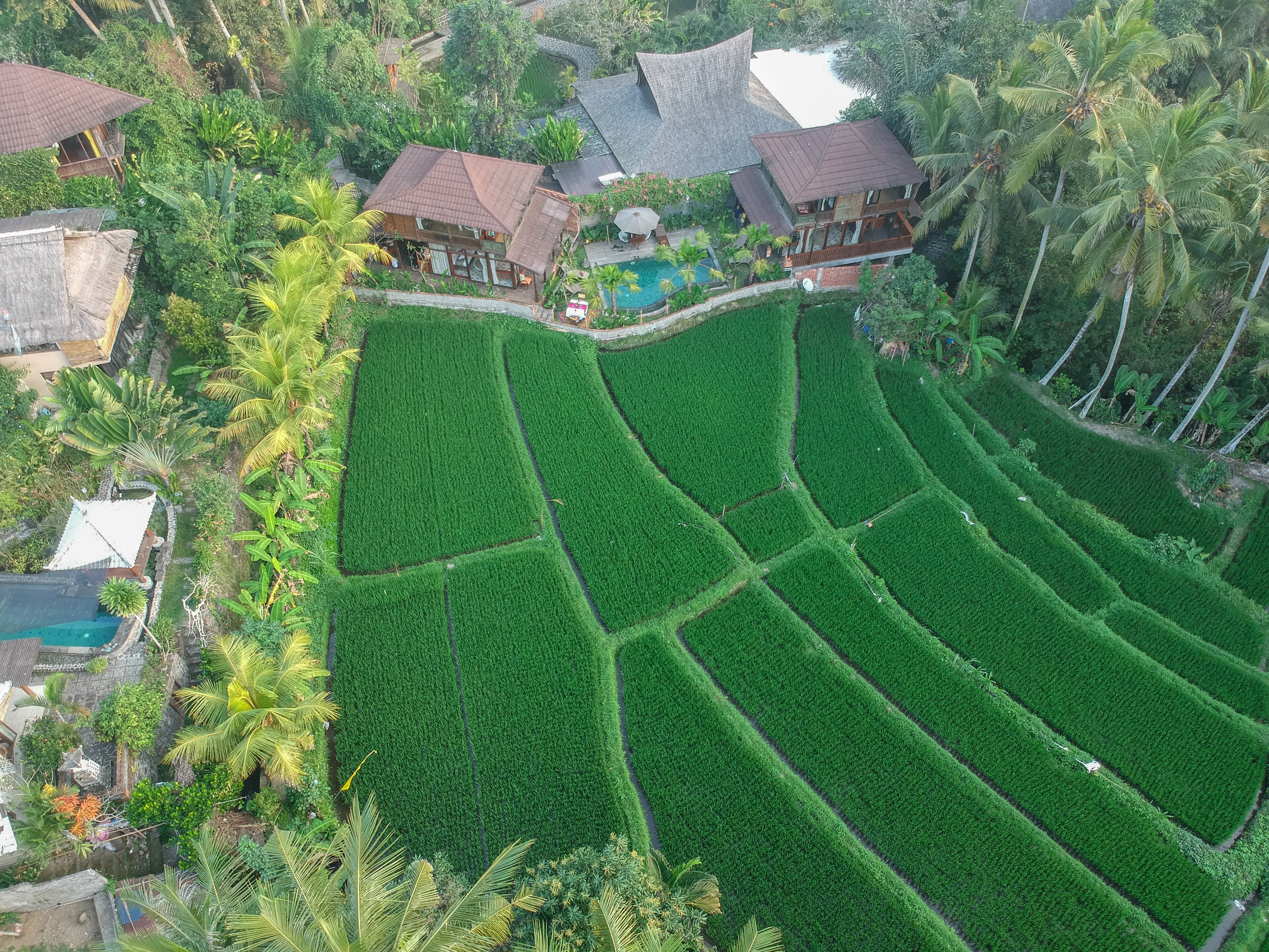 Foto - Gusde House Villas