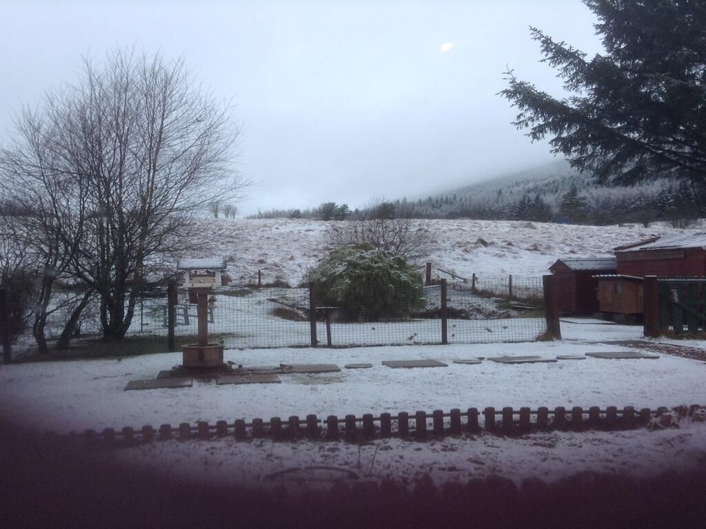 A snow-covered landscape with a fenced area, a small building, and a tree.