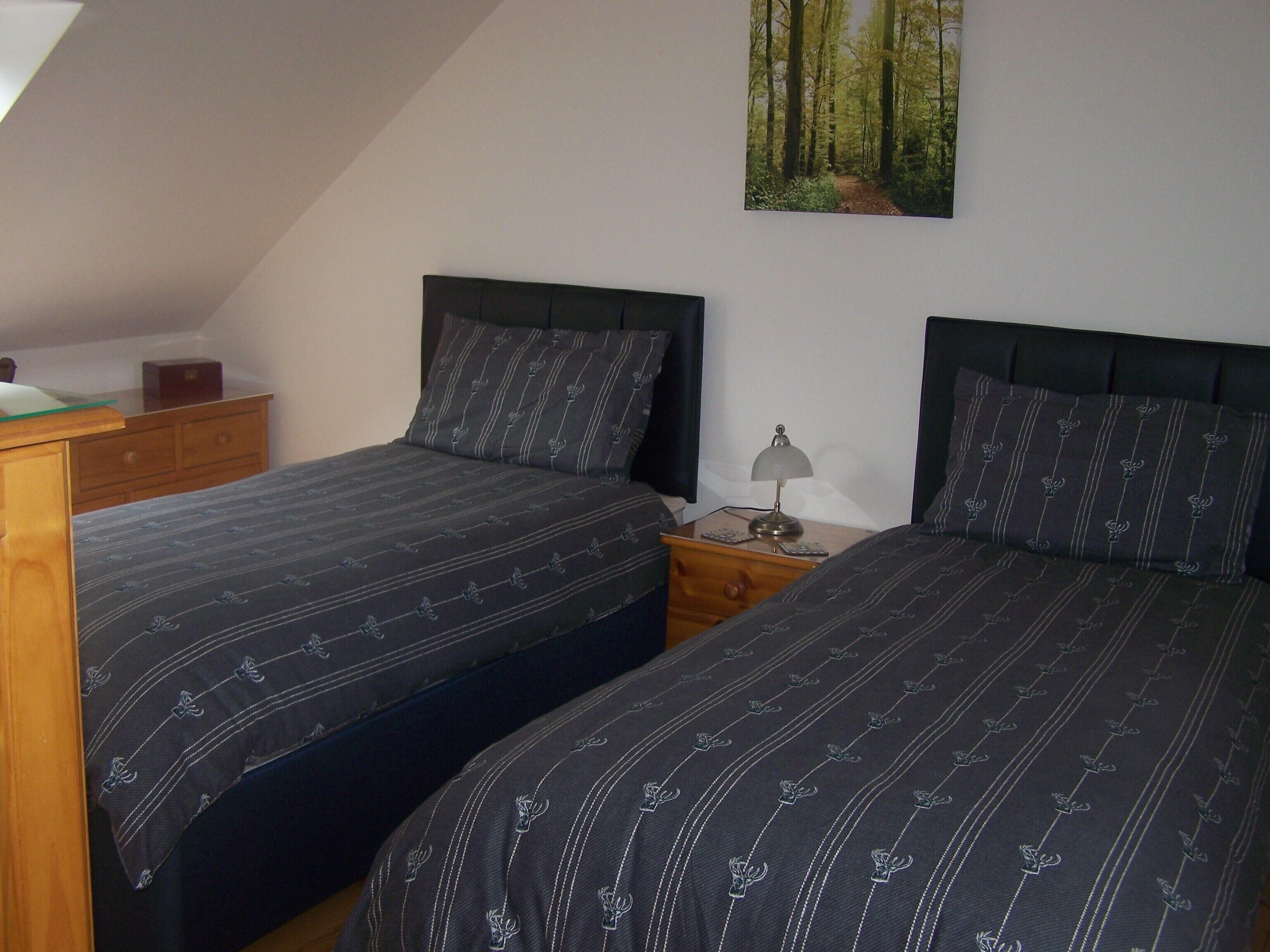 Two twin beds with matching headboards and footboards, a bedside table with a lamp, and a small wooden dresser.