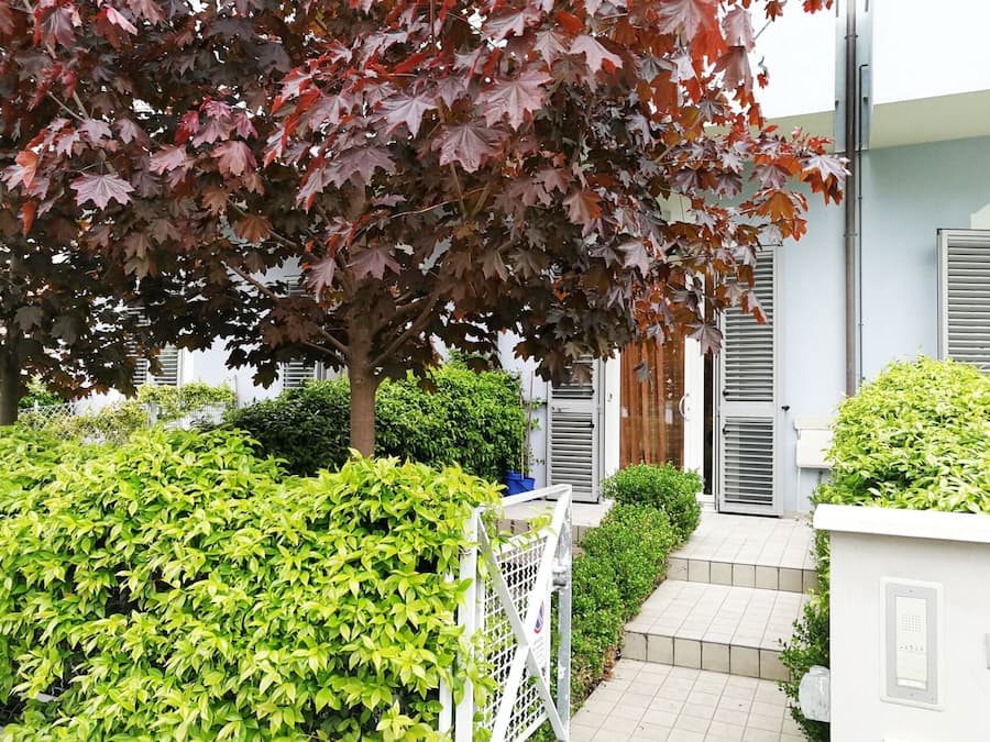 Comfort-Apartment, 2 Schlafzimmer, Terrasse, Erdgeschoss | Blick auf den Garten