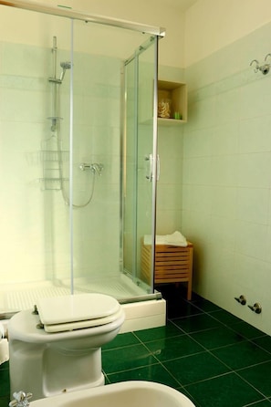 Shower, free toiletries, hair dryer, bidet