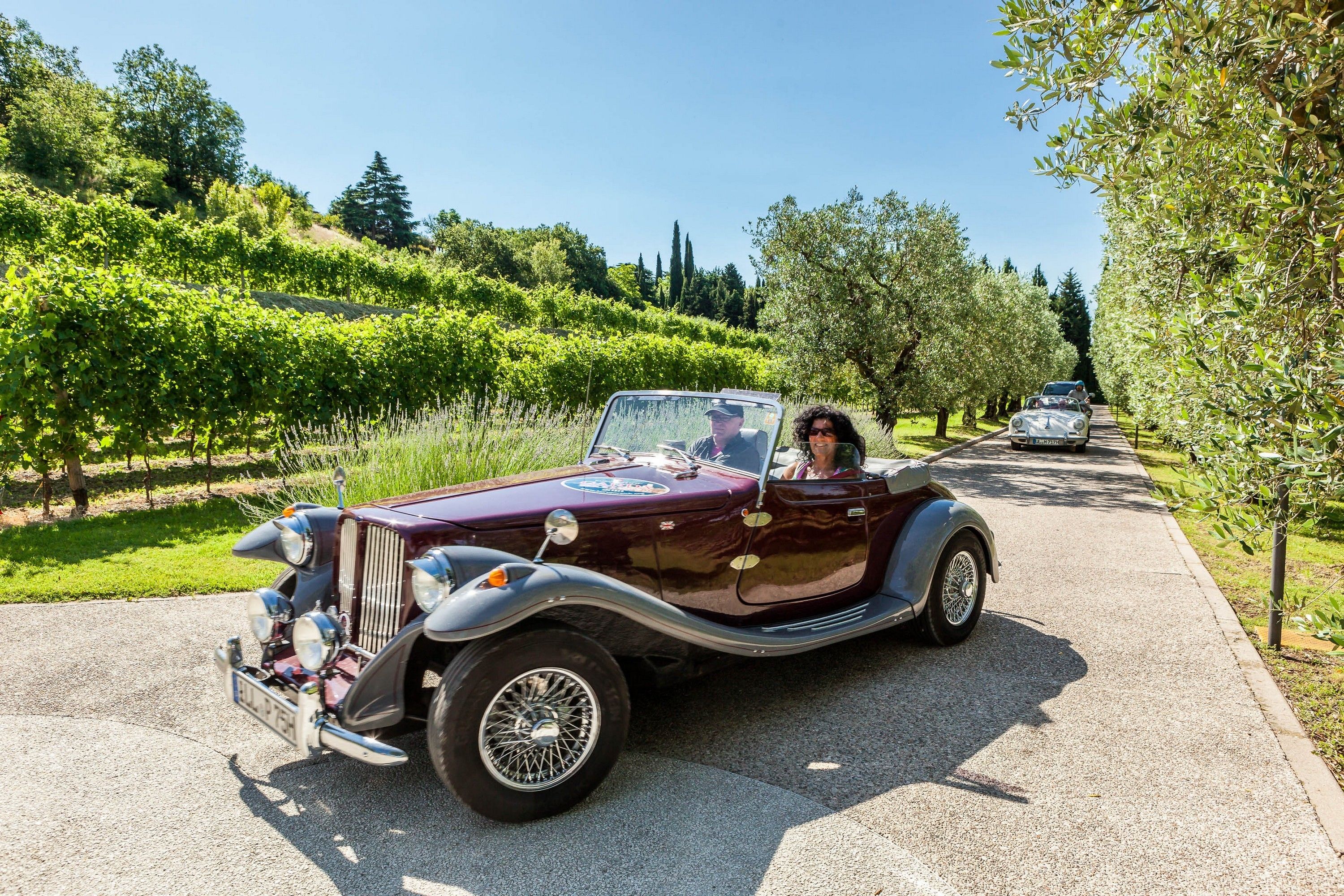 A vintage convertible car parked on a road with vineyards in the background.