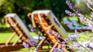 Une rangée de fauteuils de jardin en bois, avec en arrière-plan une végétation floue et des plants de lavande.