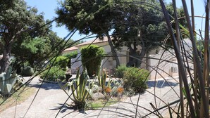 A garden with various plants and a building in the background. - Hôtel Padolo (Bonifacio)