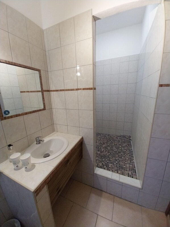 Une salle de bain équipée d’un lavabo, d’un miroir et d’un espace douche.