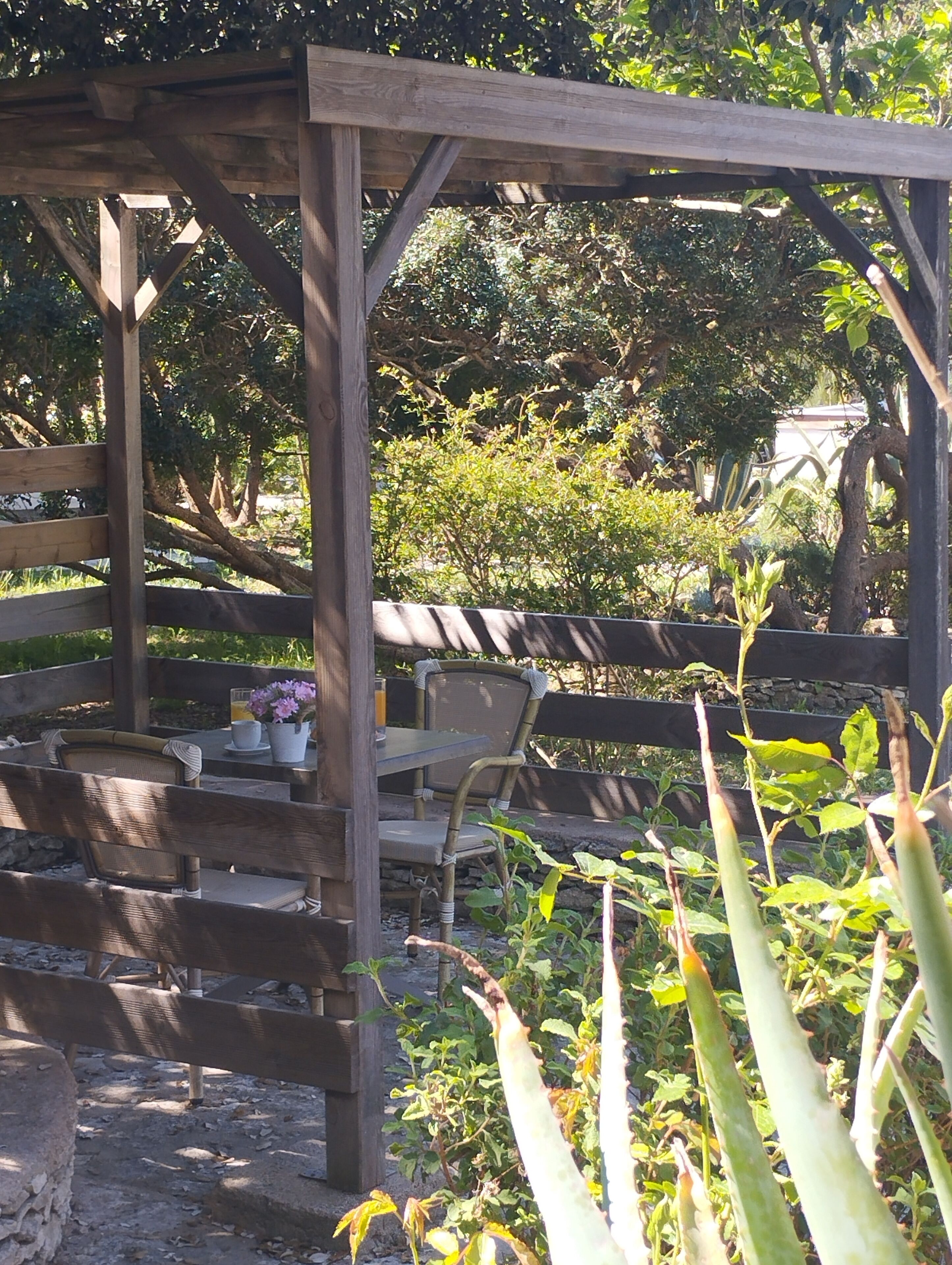 Una pérgola de madera con una mesa y sillas debajo, rodeada de follaje y plantas.