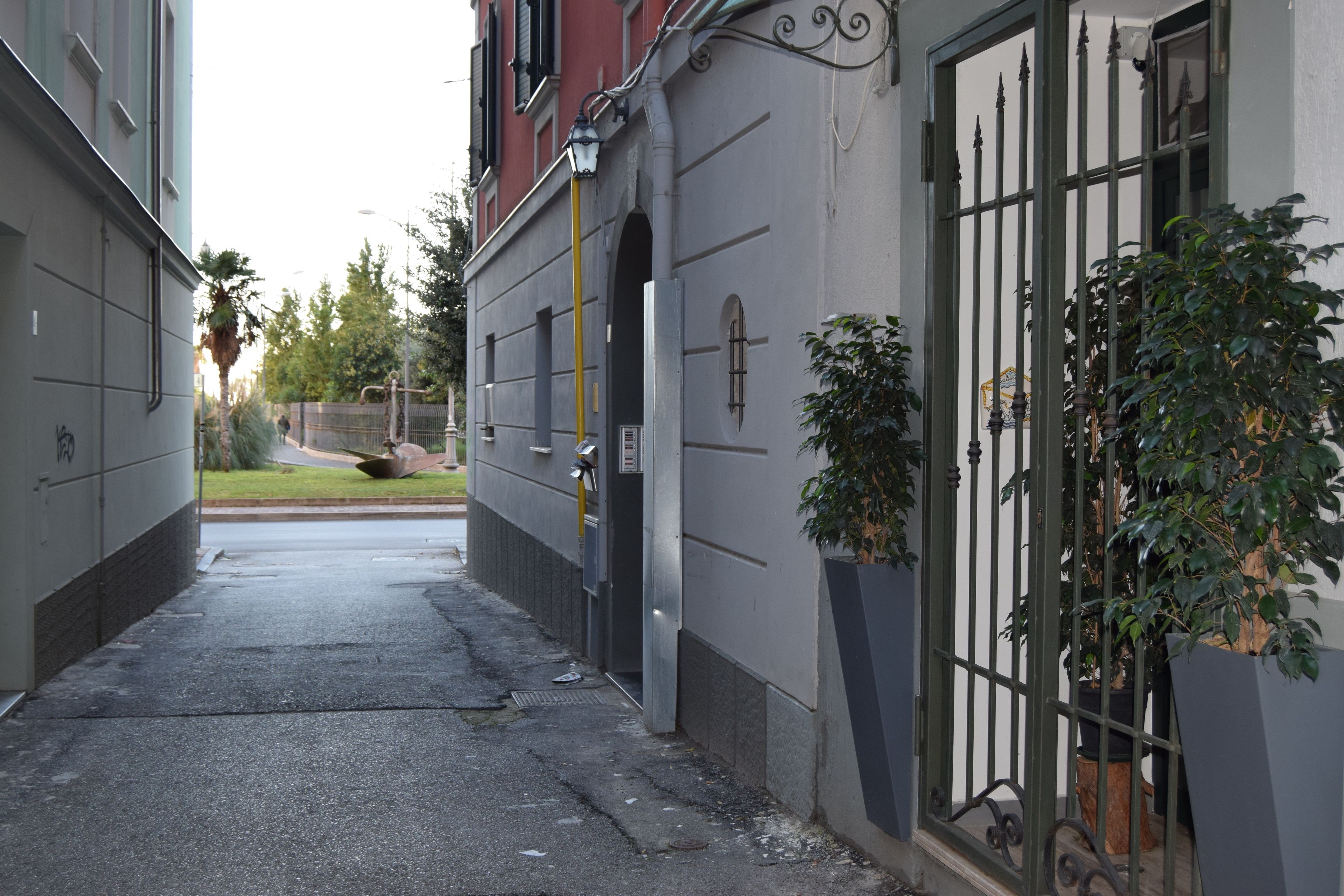 A narrow alleyway with a building on the right featuring a metal gate and potted plants.
