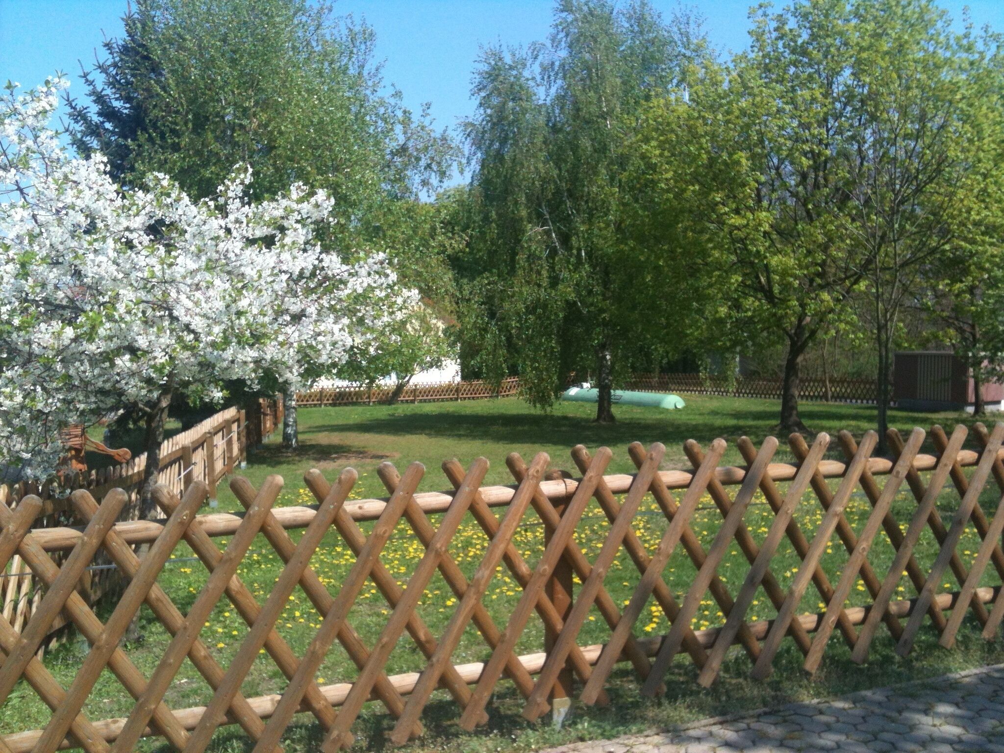 A fenced garden with blooming trees and a clear sky.