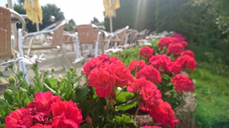 花园. 米赫尔贝格酒店
