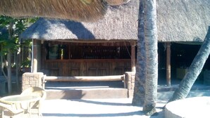 A thatched-roof structure with a wooden bench and chairs in front, surrounded by palm trees. - Northgate Lodge (Nata)