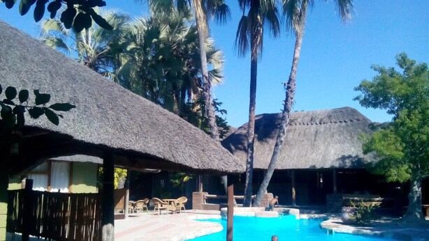 A pool area with a thatched-roof structure, palm trees, and a clear blue sky. - Northgate Lodge (Nata)
