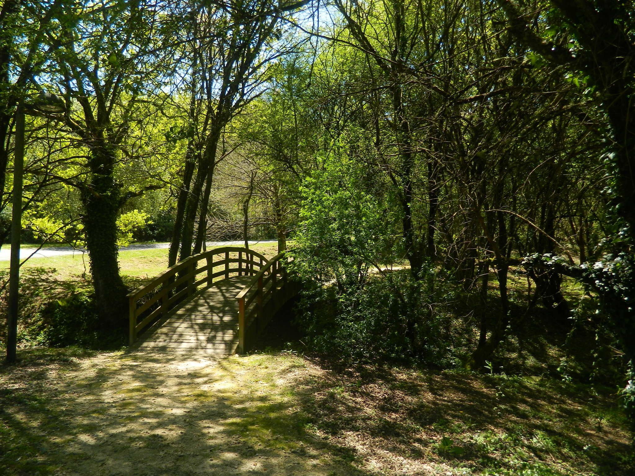 Photo - Hermida Rural