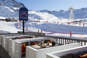 Terras