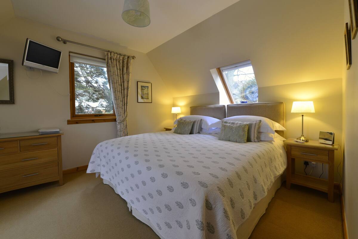 A bedroom with a large bed, two bedside tables, a TV, and a window with curtains.