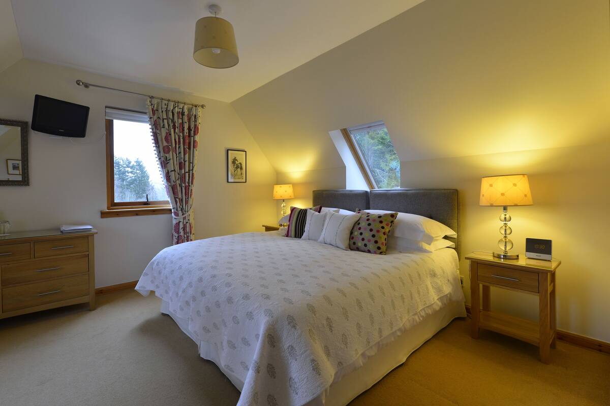 A bedroom with a large bed, a wooden dresser, a nightstand with a lamp, a TV mounted on the wall, and a window with curtains.