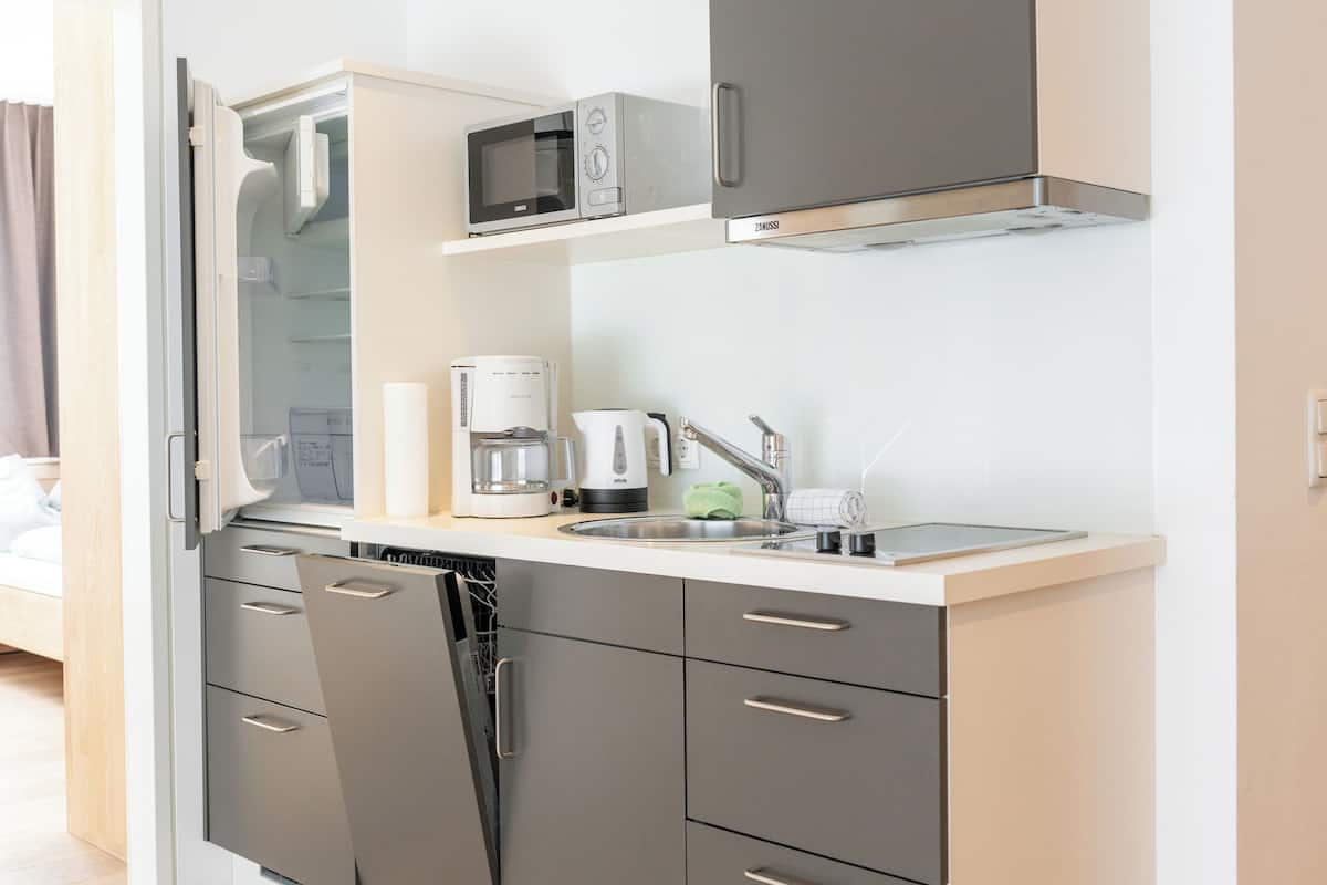 comfort apartment, 2 bedrooms, balcony, mountain view | private kitchen | cleaning supplies