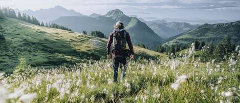 Un excursionista en un campo con montañas al fondo.