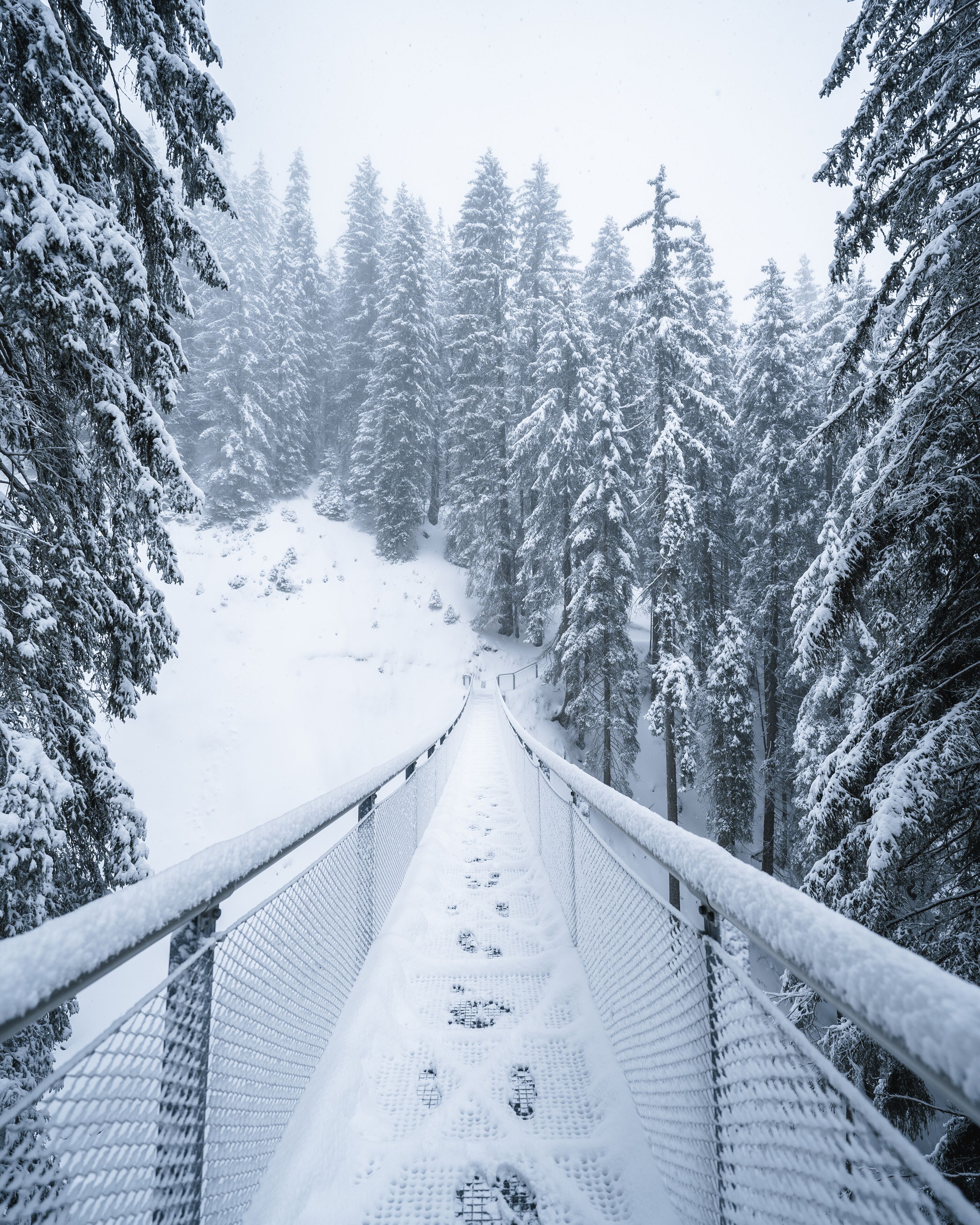 A snow-covered suspension bridge in a forest.
