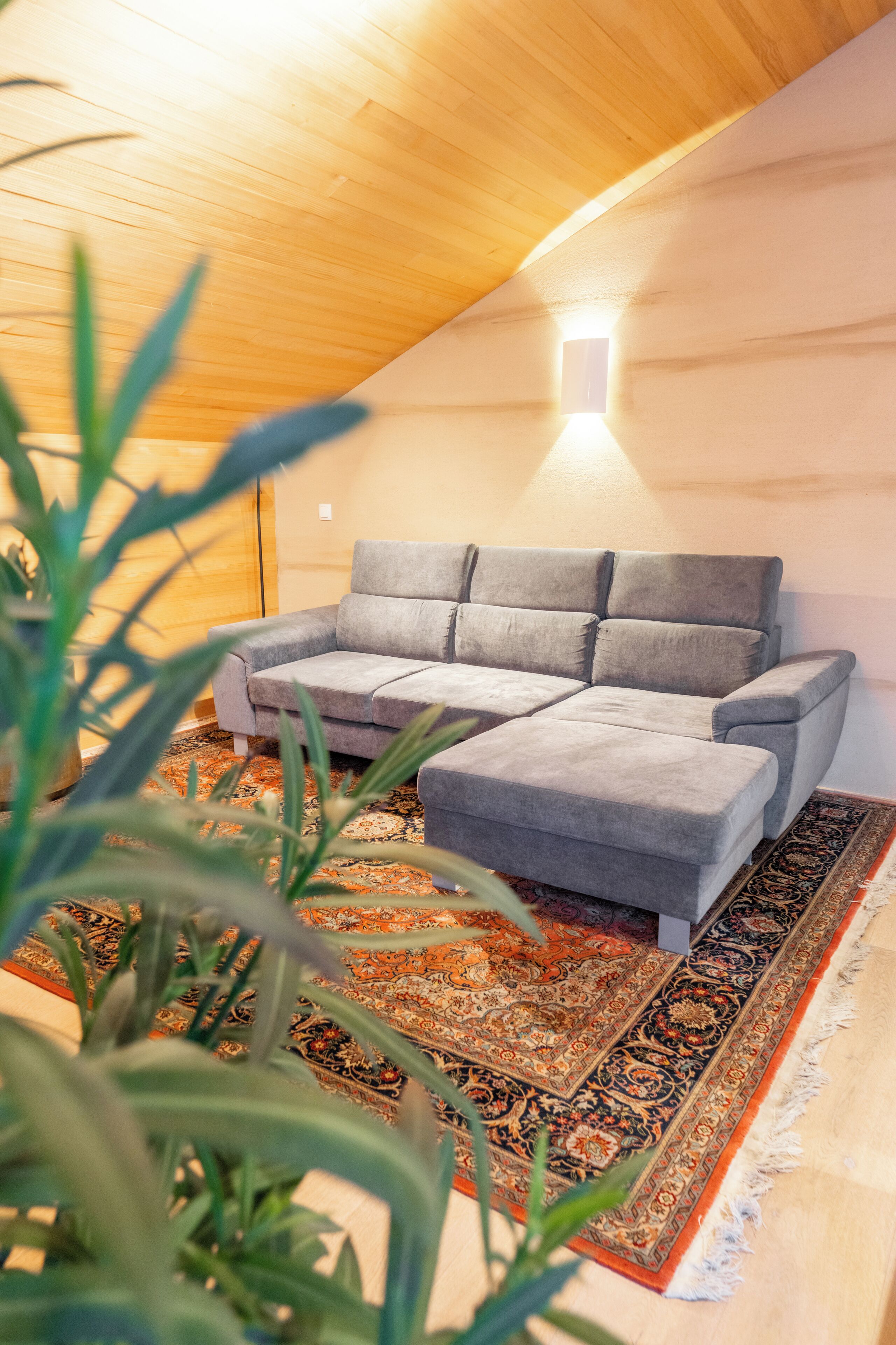 Une pièce chaleureuse avec un canapé d’angle gris, un tapis à motifs et un plafond en bois.