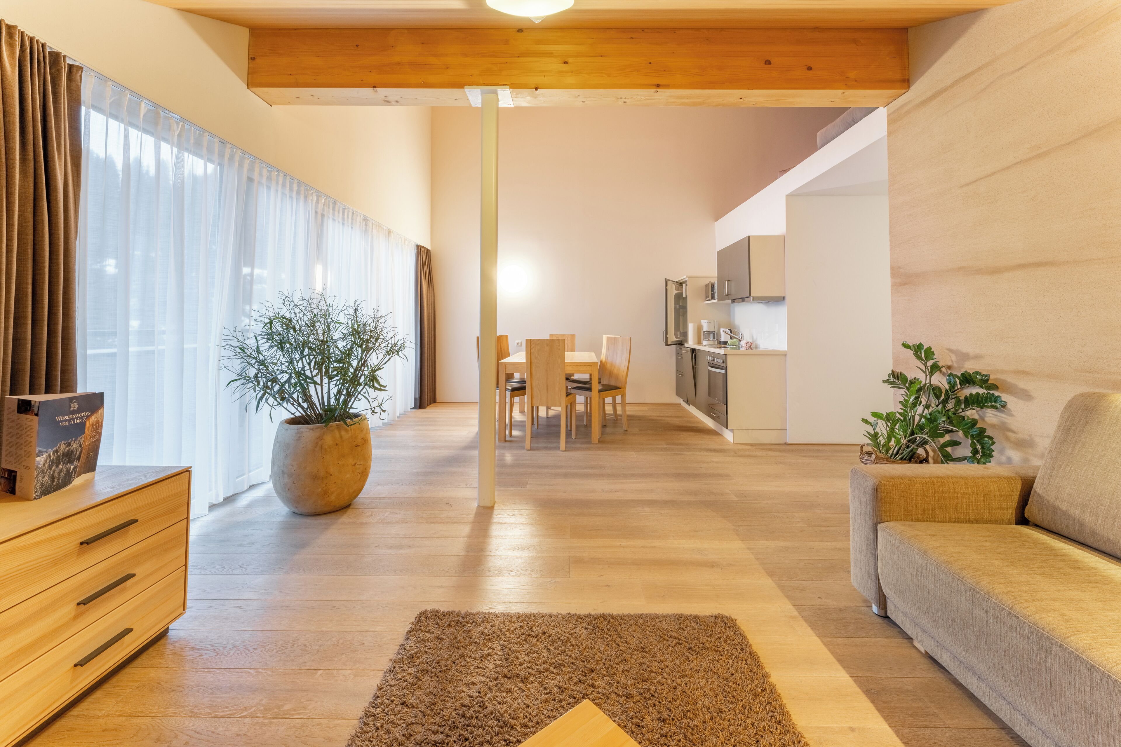 Appartement Supérieur, 2 chambres, terrasse, vue montagne | Coin séjour