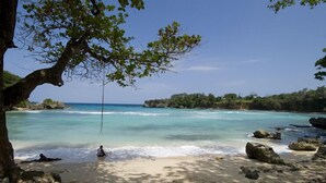 Ein Strand mit klarem türkisblauem Wasser, felsigem Ufer und einem Baum, der Schatten spendet.