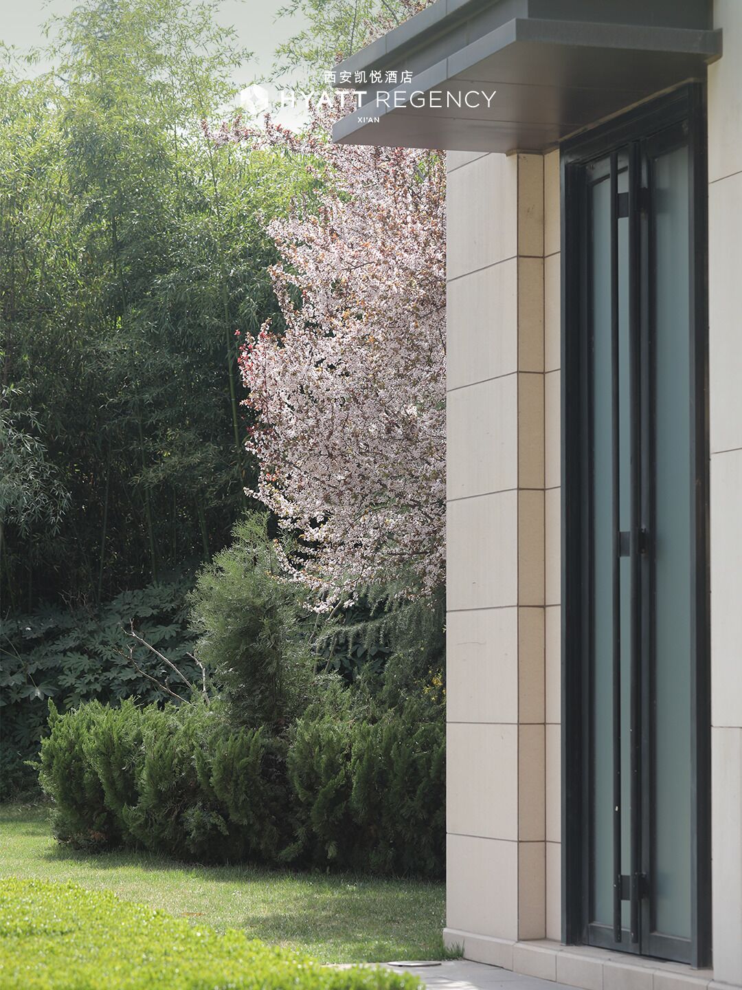 Un edificio moderno con puerta de entrada de vidrio, rodeado de abundante follaje y un cerezo en flor.