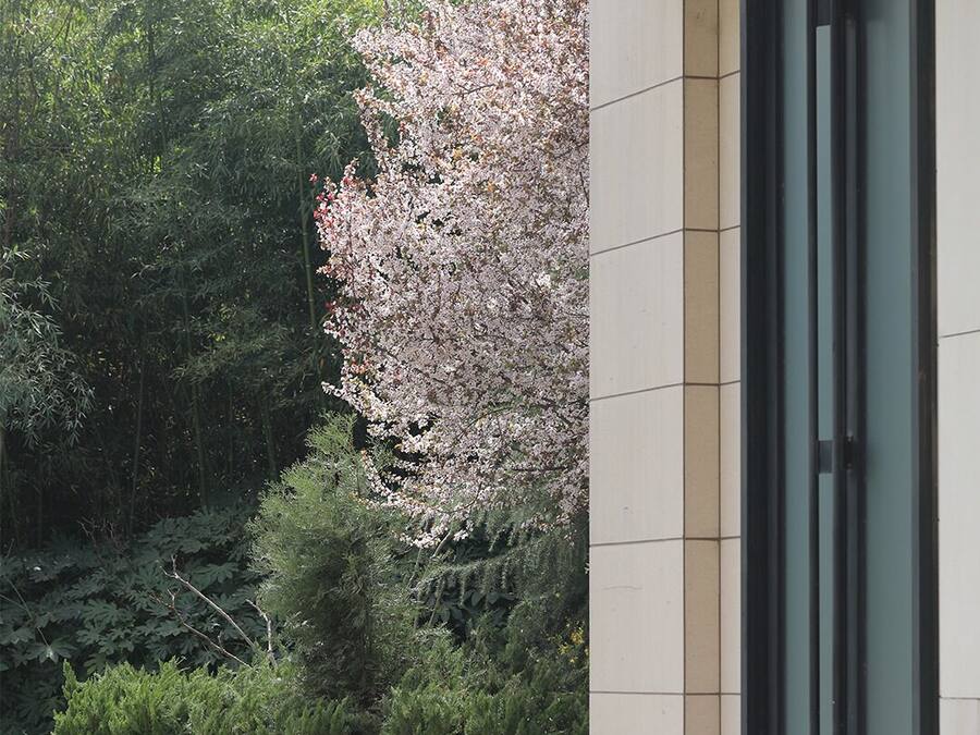 Un edificio moderno con puerta de entrada de vidrio, rodeado de abundante follaje y un cerezo en flor.