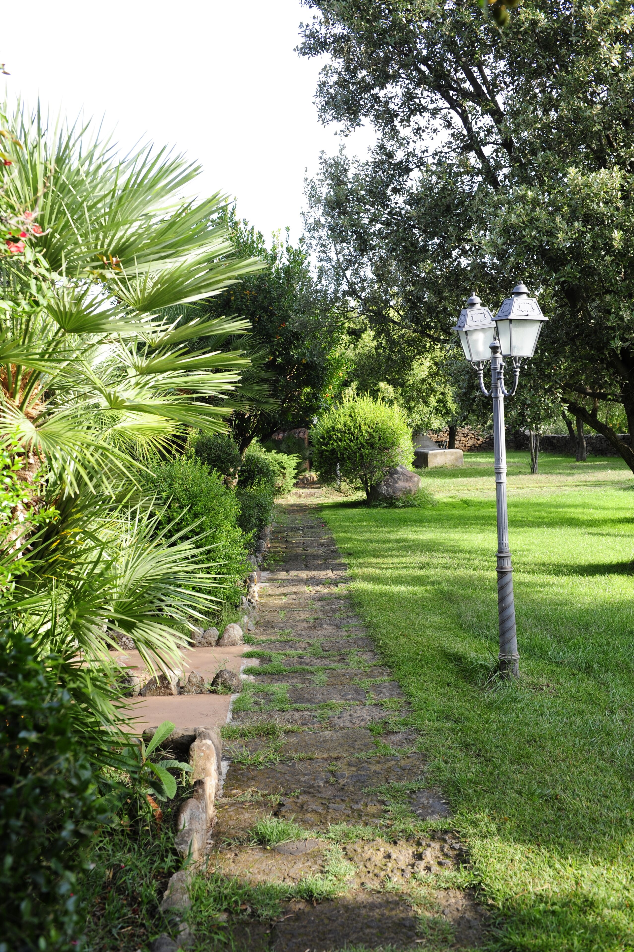 A garden pathway with a lamp post and lush greenery.