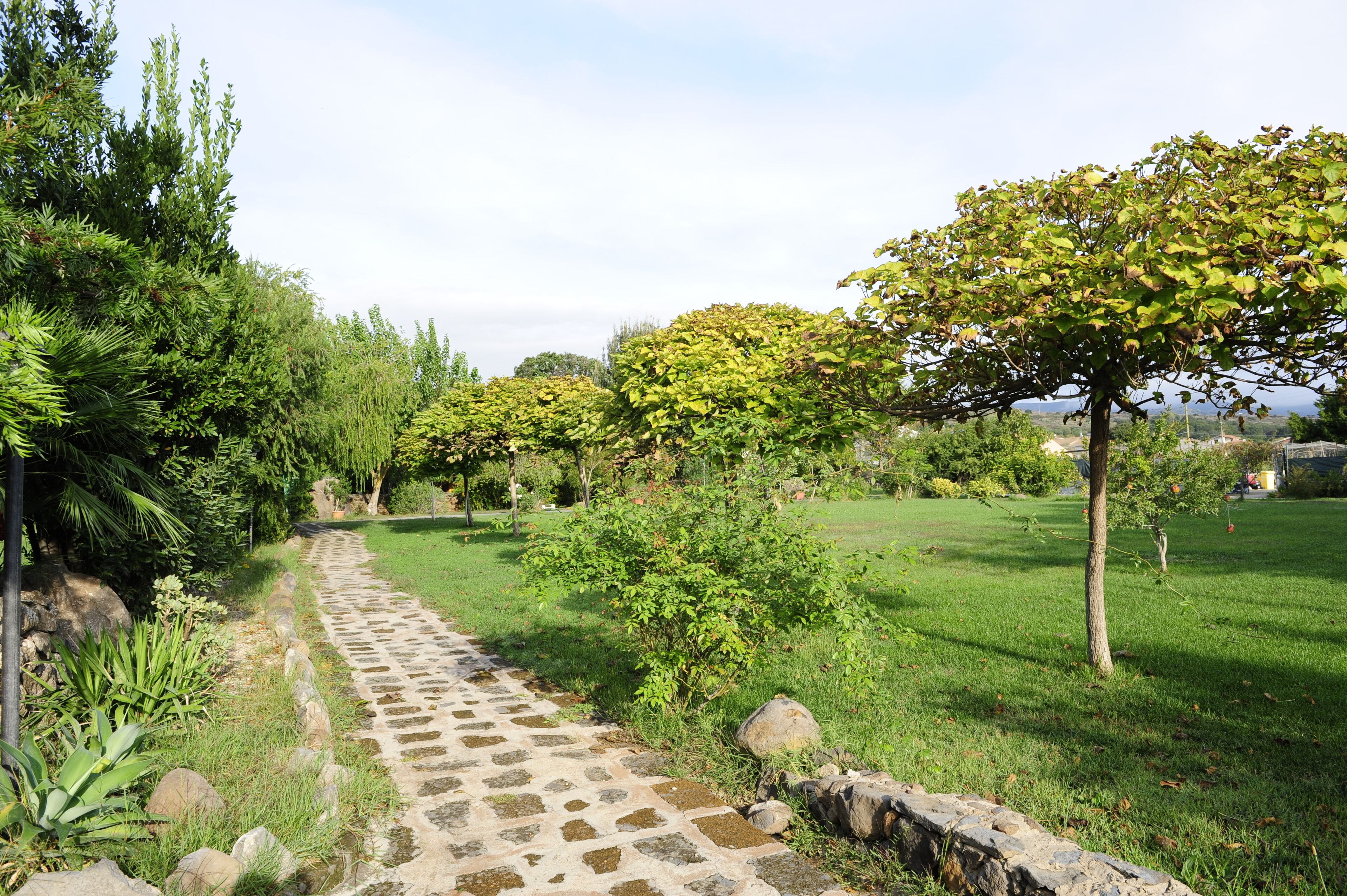 A stone pathway leading through a lush garden with various plants and trees.