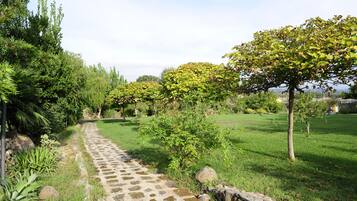 Un sendero de piedra serpentea por un jardín exuberante con diversas plantas y árboles.