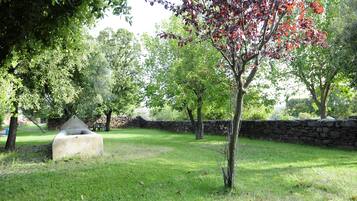 Blick auf den Garten