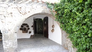An arched stone doorway leading into a building, with a stone floor and a wall covered in green ivy. - Sa Mola (Bonarcado)