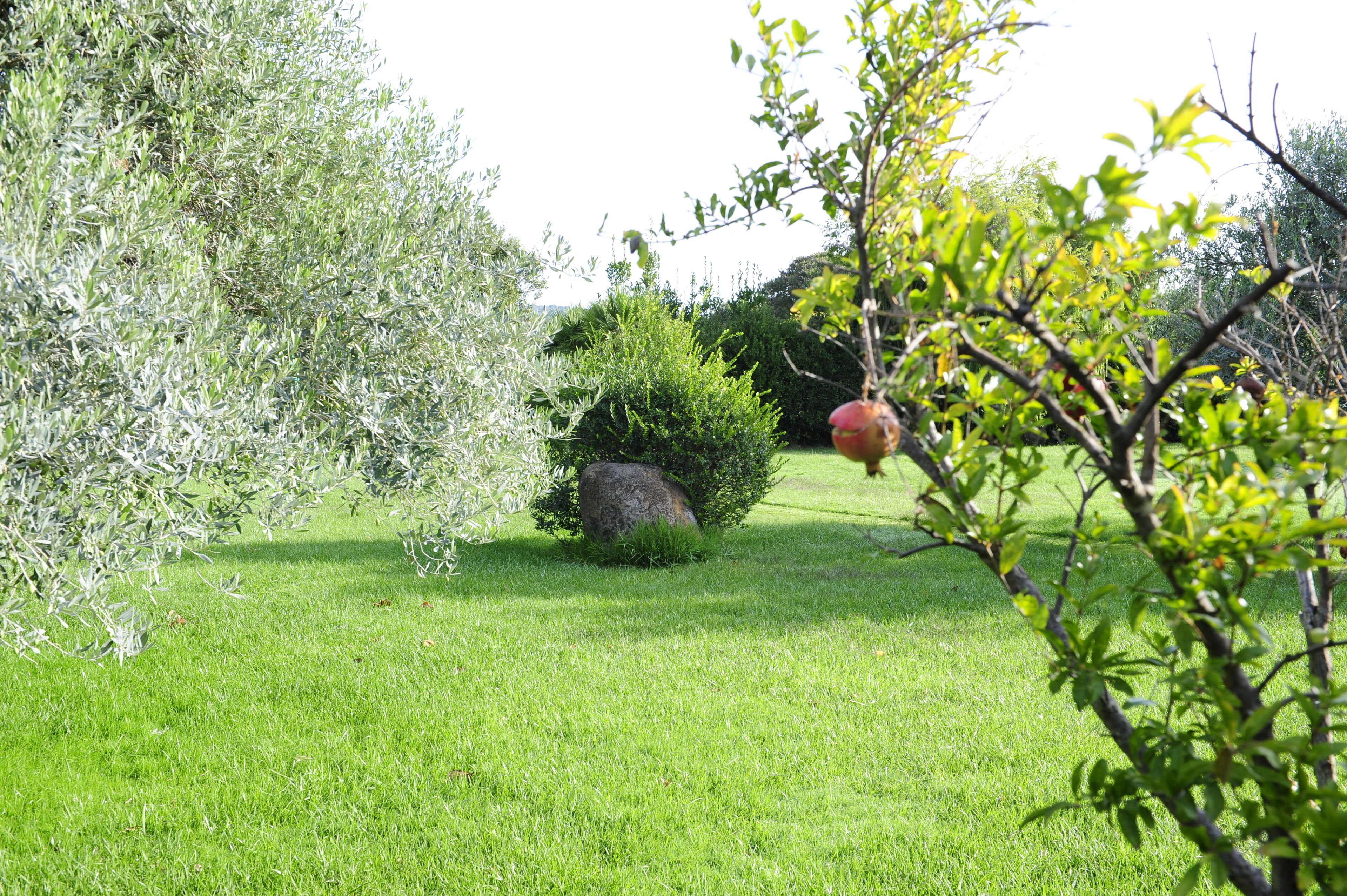 Ein gepflegter Garten mit vielfältigen Pflanzen und einem großen Felsen als Blickfang.