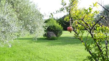 Ein gepflegter Garten mit vielfältigen Pflanzen und einem großen Felsen als Blickfang.