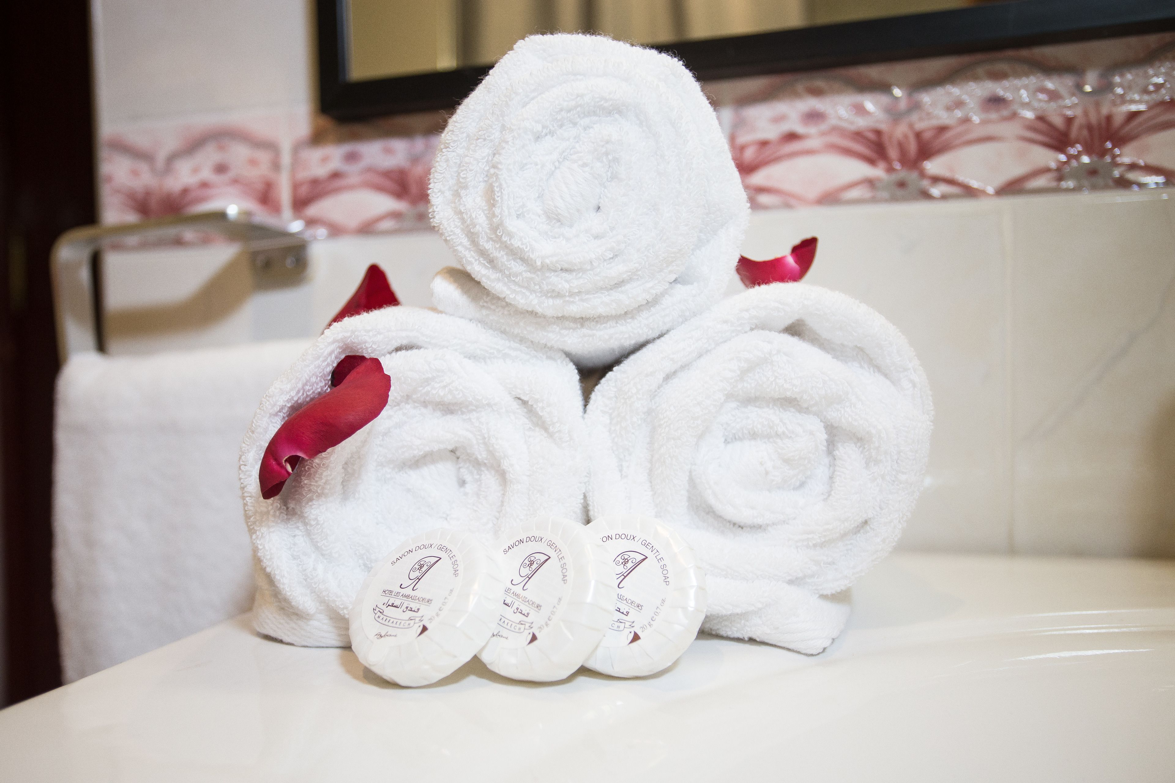 Photo - Appart Hotel Les Ambassadeurs