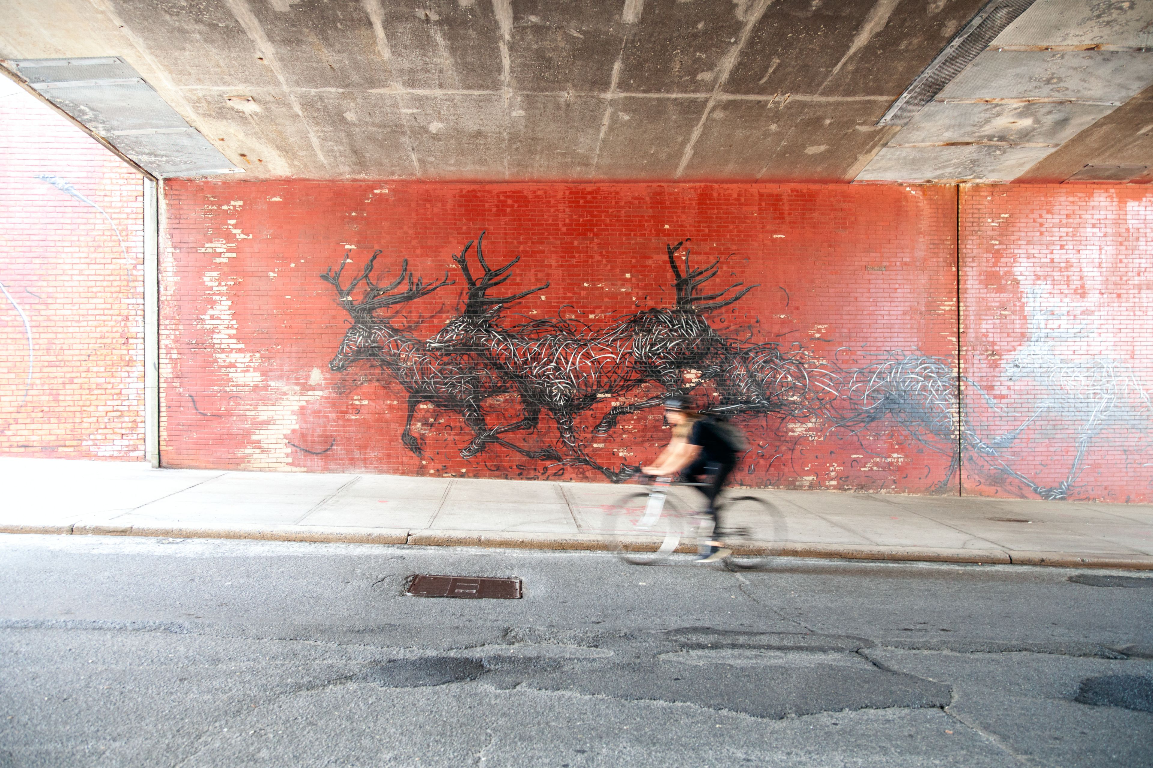 A street scene with a red brick wall featuring a mural of antlers and a cyclist.
