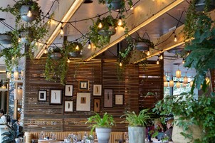 A restaurant interior with wooden slats, hanging plants, and pendant lighting.