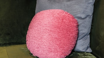 A green sofa with a pink and gray pillow.