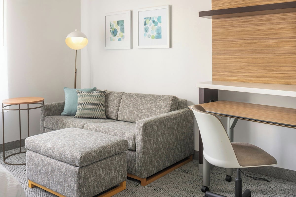 Studio, 1 King-Bett und Schlafsofa | Wohnbereich