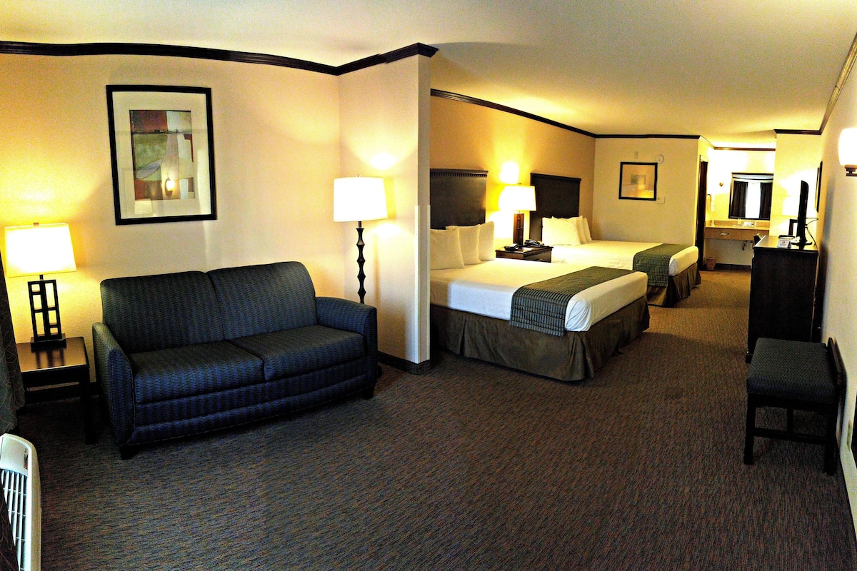 A hotel room with a bed, a sofa, a desk, and a chair.