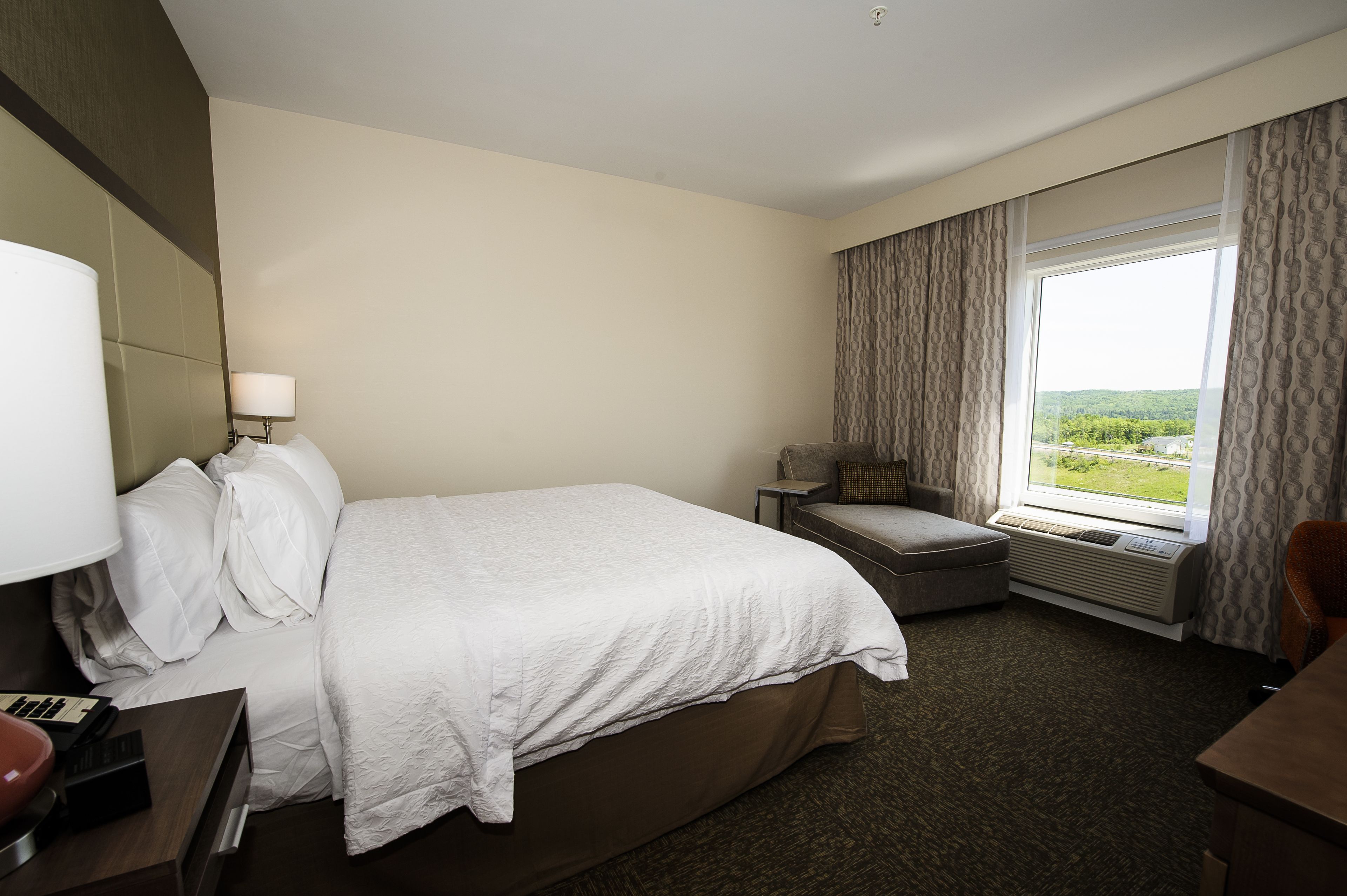 A hotel room with a large bed, a bedside table with a lamp, a small seating area, and a window with a view of greenery.