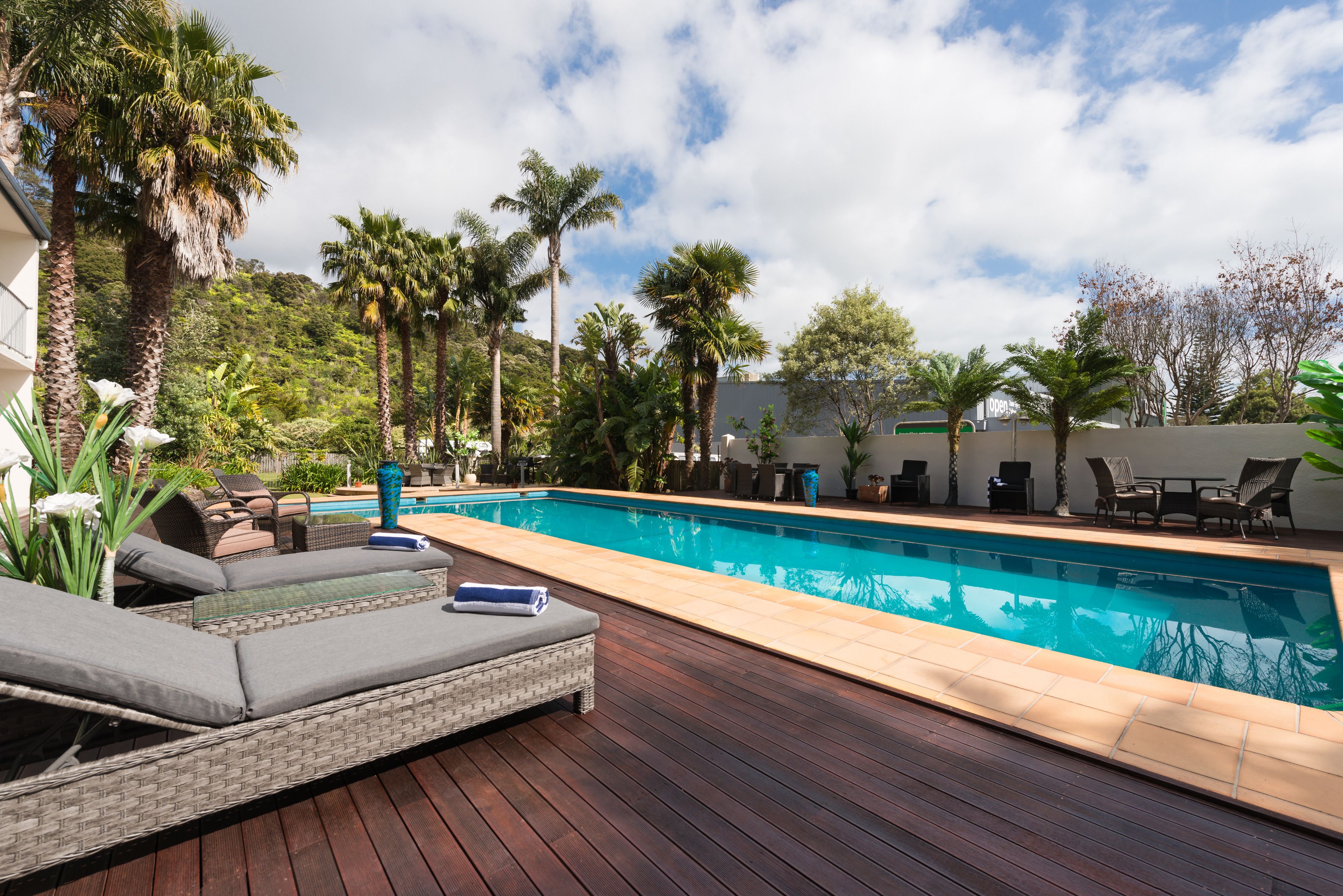 Outdoor pool, sun loungers