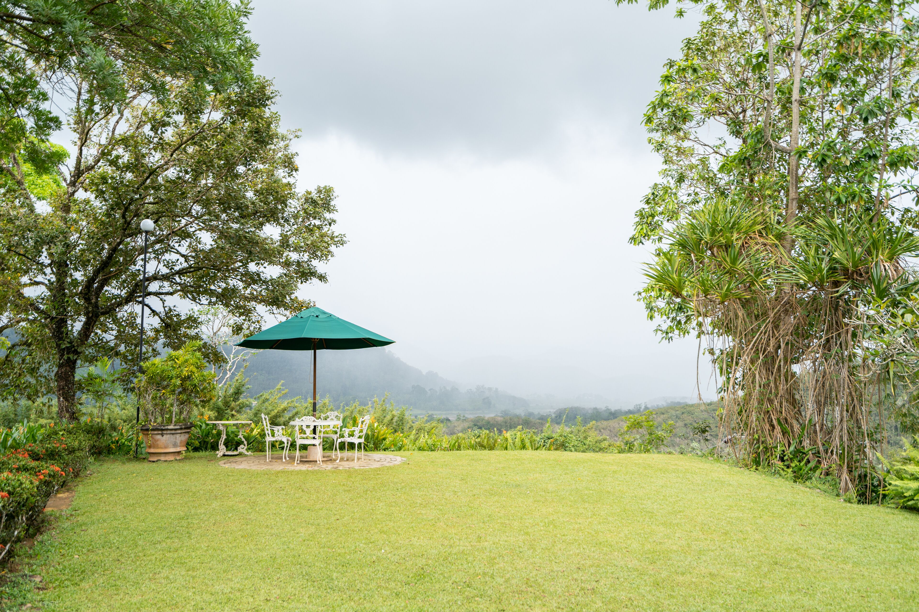 A grassy outdoor area with a table and chairs under a green umbrella, surrounded by trees and plants.