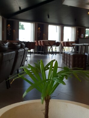 2 barer/lounger og bassengbar