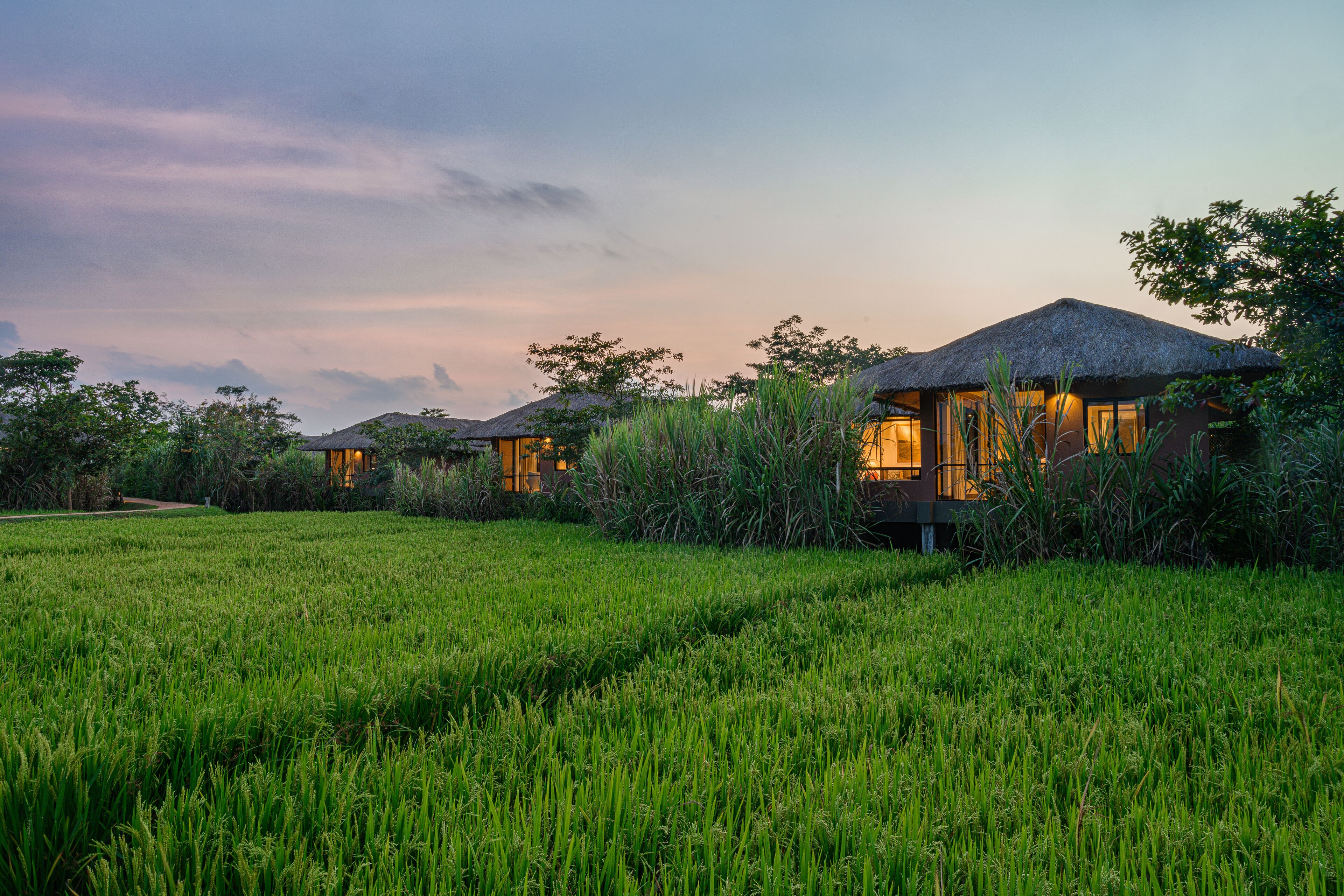 deluxe villa | garden view