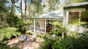 A house with a porch surrounded by lush greenery and ferns. - Myers Creek Cascades Luxury Cottages (Healesville)
