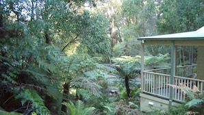 A lush garden with a variety of ferns and a small stream. There is a wooden deck with a railing. - Myers Creek Cascades Luxury Cottages (Healesville)